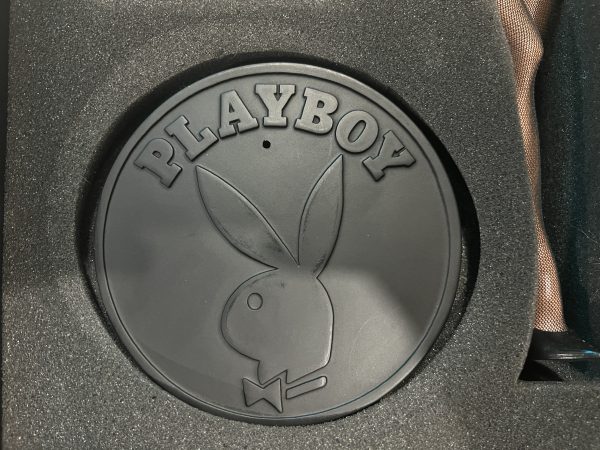 Ava Fabian - Playboy Playmates Doll! (18")