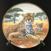 Cheetah and Cubs - National Wildlife Federation
