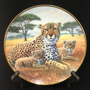 Cheetah and Cubs - National Wildlife Federation