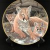 Mountain Lions - National Wildlife Federation