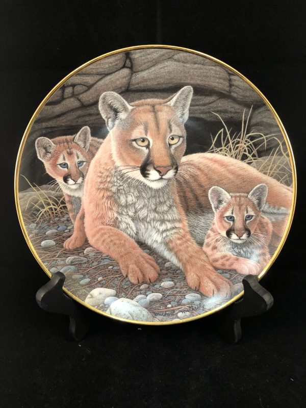 Mountain Lions - National Wildlife Federation