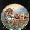 Jaguar and Cubs - National Wildlife Federation