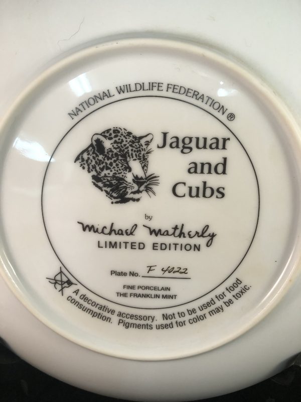 Jaguar and Cubs - National Wildlife Federation
