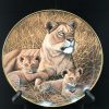 African Lioness and Cubs - National Wildlife Federation