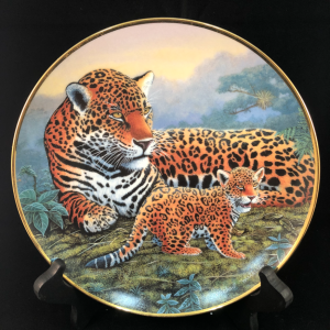 Jaguar and Cubs - National Wildlife Federation