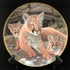 Mountain Lions - National Wildlife Federation